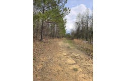 1497 Co Rd 117, Hodges, AL 35571