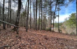 3.16 acres Lot 77, 1712 Round Mountain Parkway unit: 77, Lenoir, NC 28645