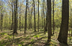 N 900 Joes Road, Conrath, WI 54731