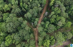 90 COUNTY ROAD 478 lot: 1, LEEDS, AL 35094