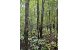 TBD 1-10 Tikka Road, Ontonagon, MI 49953