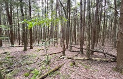 0018 Riverfront Way, Gouldsboro, PA 18424