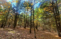 L25 Fischer Road, Kinderhook, NY 12106