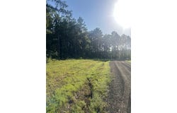 Lot #36 Eagles Nest, Broaddus, TX 75929
