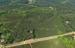 000 STATE ROUTE 505, Dodson, LA 71422