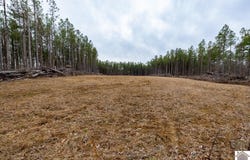 Cedar Grove Road, Salem, KY 42078