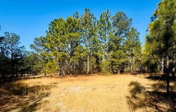 Coastal Lane, Hartsville, SC 29550