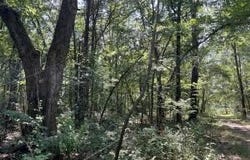5.49 Acres on Meadow Creek DR, Harrison, AR 72601