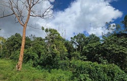 YAGRUMO ST, SAN JUAN, 00926