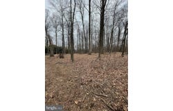 4224 PINEY GROVE, GLYNDON, MD 21071
