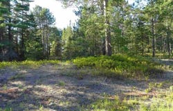 51734 Rice Lake, Lake Linden, MI 49945