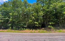 Tbd Lookout Drive, Wytheville, VA 24382