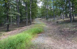 20.32 AC TROUGH Road, MOOREFIELD, WV 26836