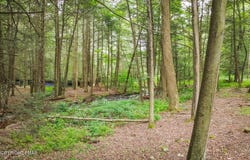 Laurel Road, Lehighton, PA 18235