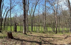 1361 County Road 2347, Other, MO 65270