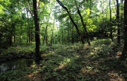 000 Drivers Creek Lane, Scotland, AR 72141