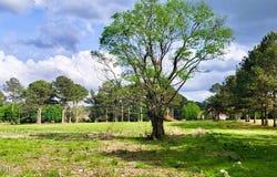 Bozeman Road, Madison, MS 39110