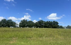 24 Camden Way, Hawkinsville, GA 31036
