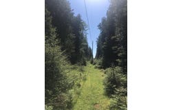 TBD S CORYELL ISLAND, CEDARVILLE, MI 49719