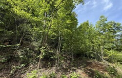 Tbd Rattlesnake Ridge Lot 19 & 31, Butler, TN 37640