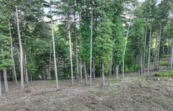 190 Split Creek Road, Morganton, GA 30560