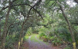 6150 SW 126TH Avenue, CEDAR KEY, FL 32625