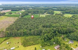 Willard Road, Willard, NC 28478