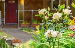 1526 SW CYPRESS LN, McMinnville, OR 97128