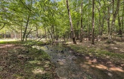 96 Acres Meers Road, DALTON, GA 30721