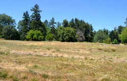 3 Gerald Place, Grants Pass, OR 97527