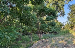 4401 Trimmier Rd, Killeen, TX 76542