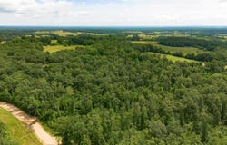 25 acres off Emery Road, Bucyrus, MO 65444