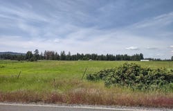 Elk Chattaroy Rd, Elk, WA 99009