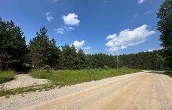 7304 Hemstreet Road, Bellaire, MI 49615