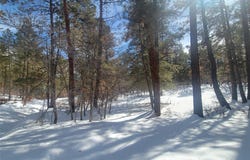 R-19S R-19N Serenity, Chama, NM 87520