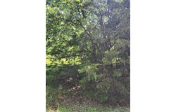 26 N Lakeside Circle, Linn Valley, KS 66040