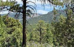 381 Buckman Rd, Chama, NM 87520