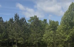 4914 Old Federal Road, Quincy, FL 32351