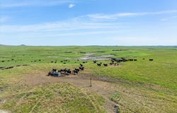 Other, Camp Crook, SD 57724