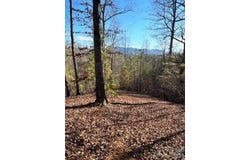 N Coast Drive lot: 17-4, Mill Spring, NC 28756