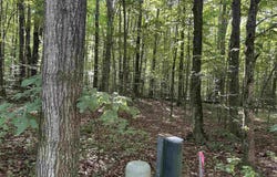 Lot 41 Heideldorf Lane, Bellaire, MI 49615