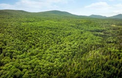 2448 Lost Nation Road, East Haven, VT 05837