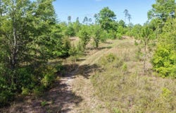 Vacant NE Cedar Trail, Pinetta, FL 32350