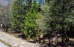 180 Grass Valley #5 Road, Lake Arrowhead, CA 92352