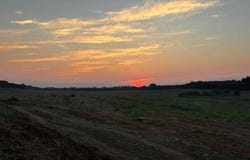 5771 Hwy 95 S, Greenback, TN 37742