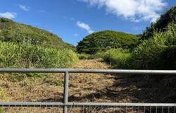 HILEA RD, Naalehu, HI 96772