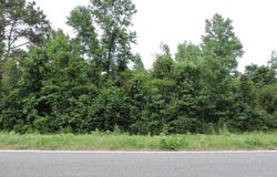 0 S Mt Zion Road, Greenville, AL 36037