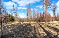 50 Eagle View Road, Kila, MT 59920