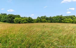 V/L Staley Road, Lyons, MI 48851