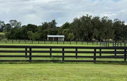 NW 95TH AVE Road, OCALA, FL 34482